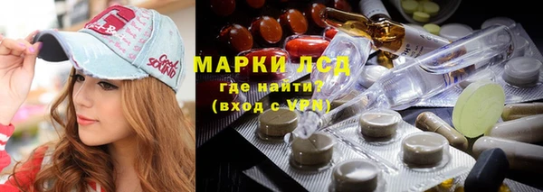 дмт Алзамай