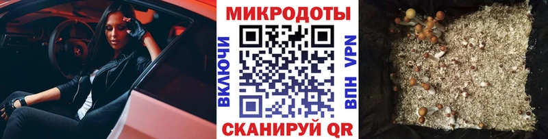Псилоцибиновые грибы ЛСД  Купить где  Углегорск 