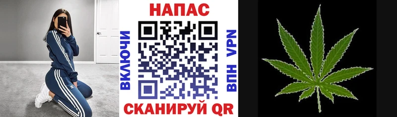 Купить закладки  Углегорск  Бошки Шишки Ganja 